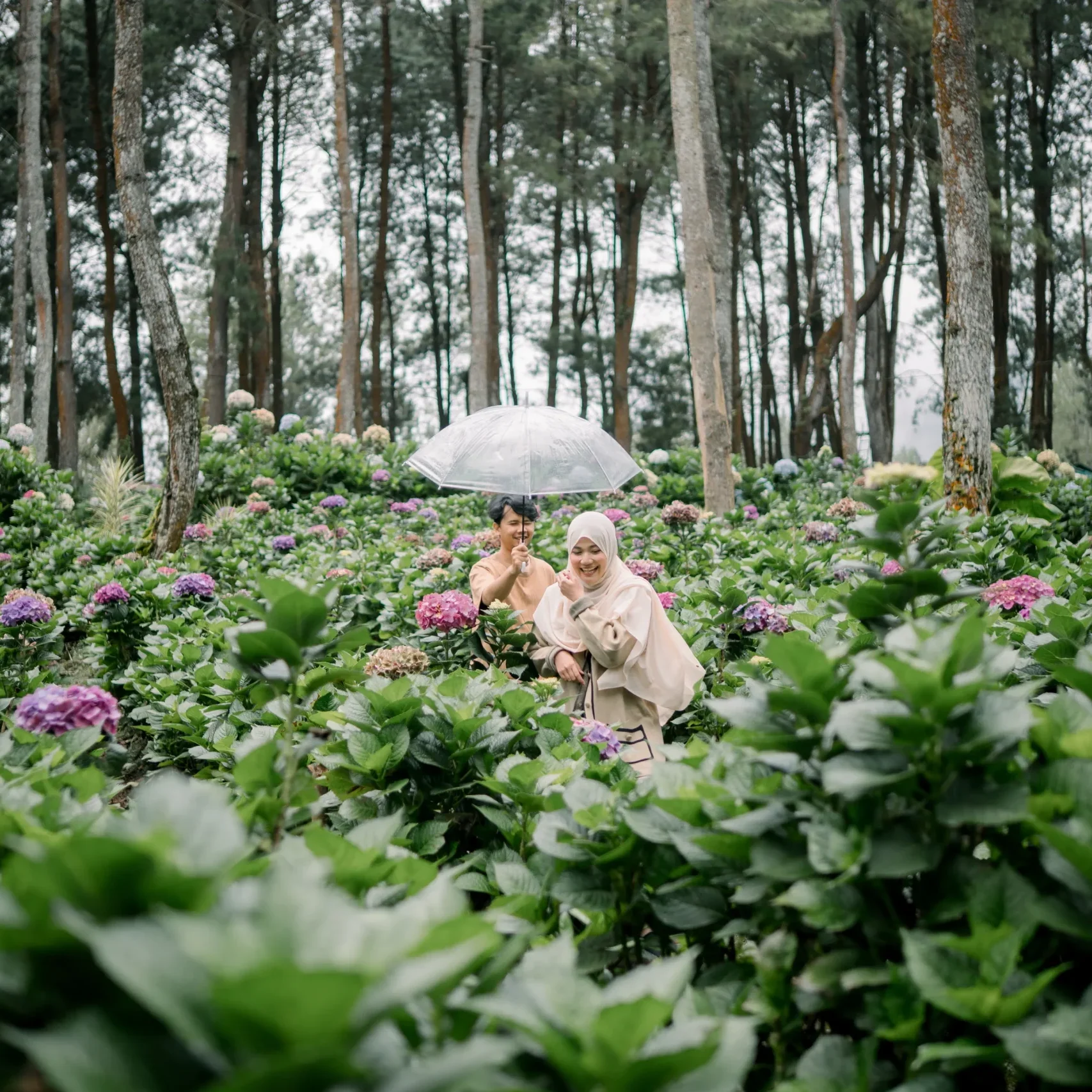 DSC08145_11zon_13_11zon